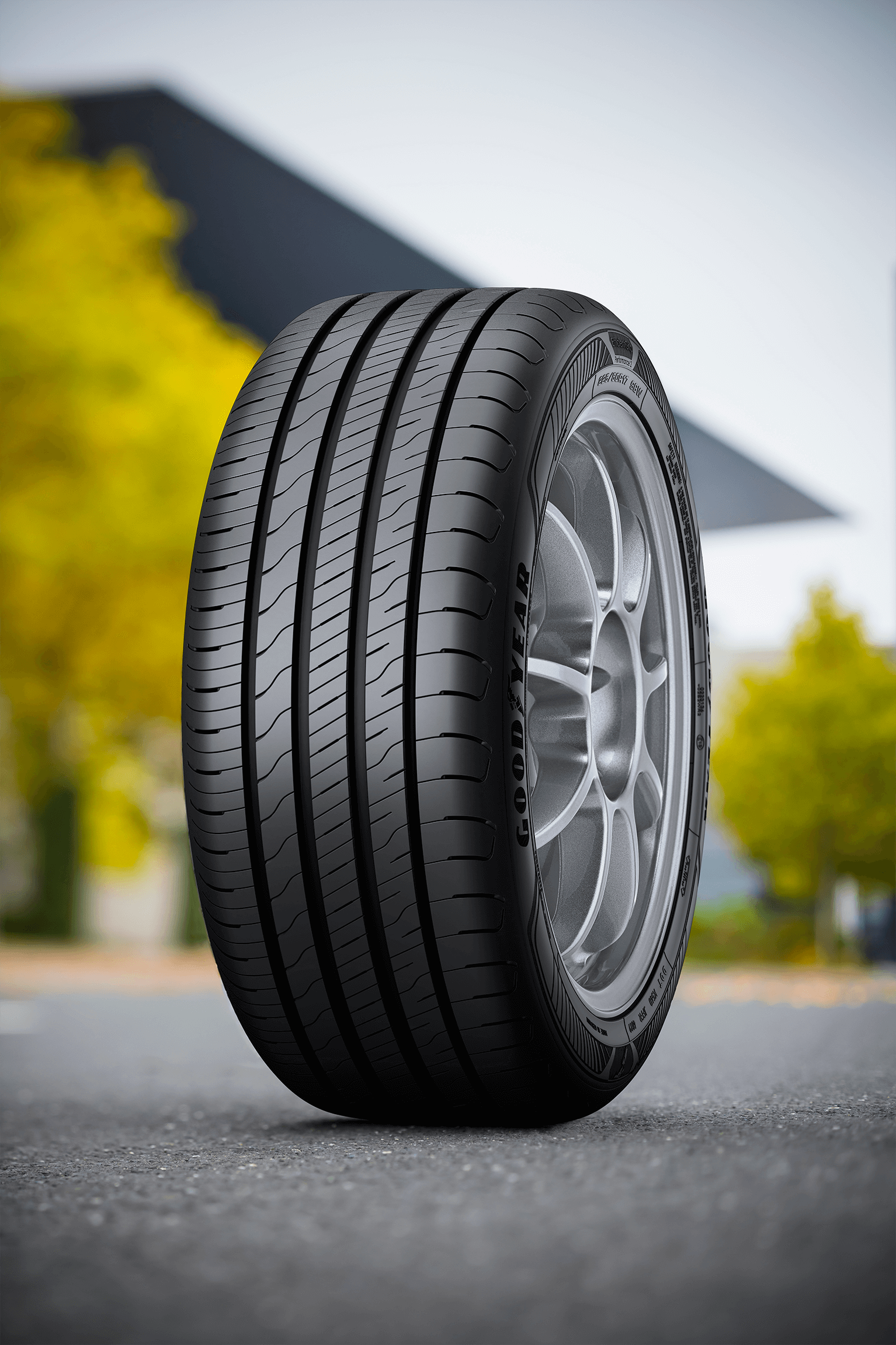 Goodyear EfficientGrip Performance 2 testi geçti